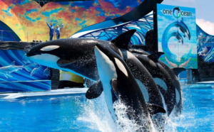 los-mejores-5-zoologicos-en-orlando