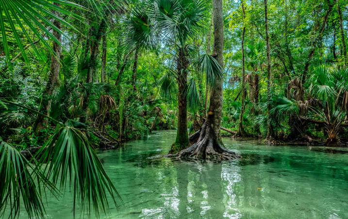 cosas-que-hacer-en-orlando-mas-alla-de-los-parques-tematicos