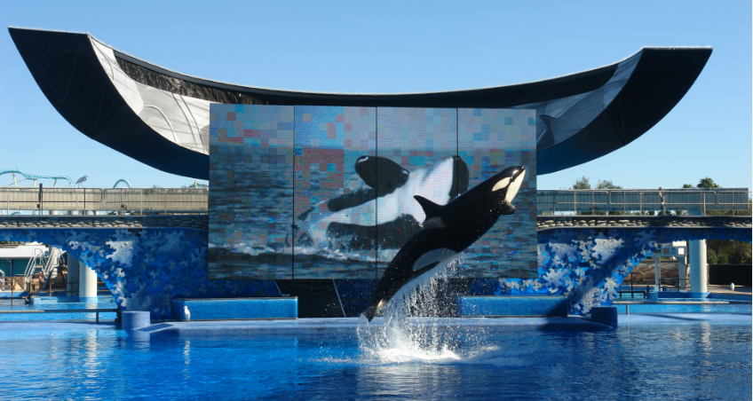 PARQUE TEMÁTICO SEAWORLD ORLANDO