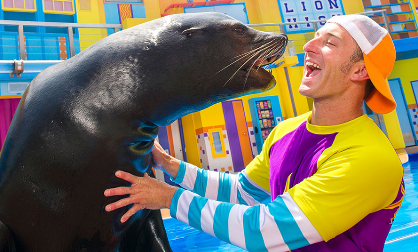 parque-tematico-seaworld-orlando