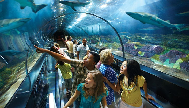 parque-tematico-seaworld-orlando